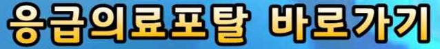추석 연휴 응급의료 공백, 정부의 응급의료 비상진료 대책