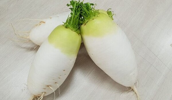 천고마비의 계절 가을에 면역력 높이는 가을 먹거리는 뭘까?