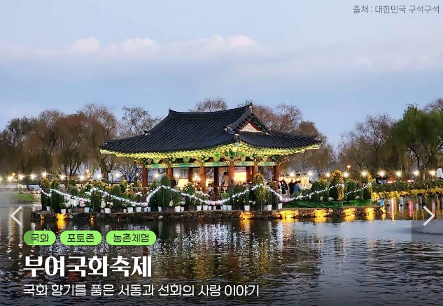 10월 아이들 데리고 갈만한 가을 축제 모음 안내